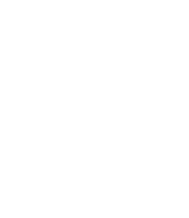 Safe, efficient, low-cost consumer service.